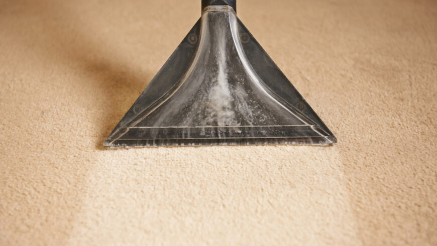 Carpet Cleaning Calgary: Professional vs. DIY – What You Need to Know