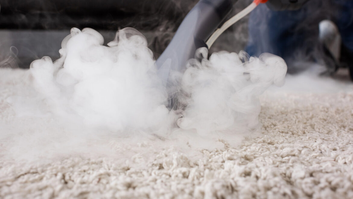 Pet-Friendly Carpet Cleaning in Calgary: Odor, Stain and Dander Removal