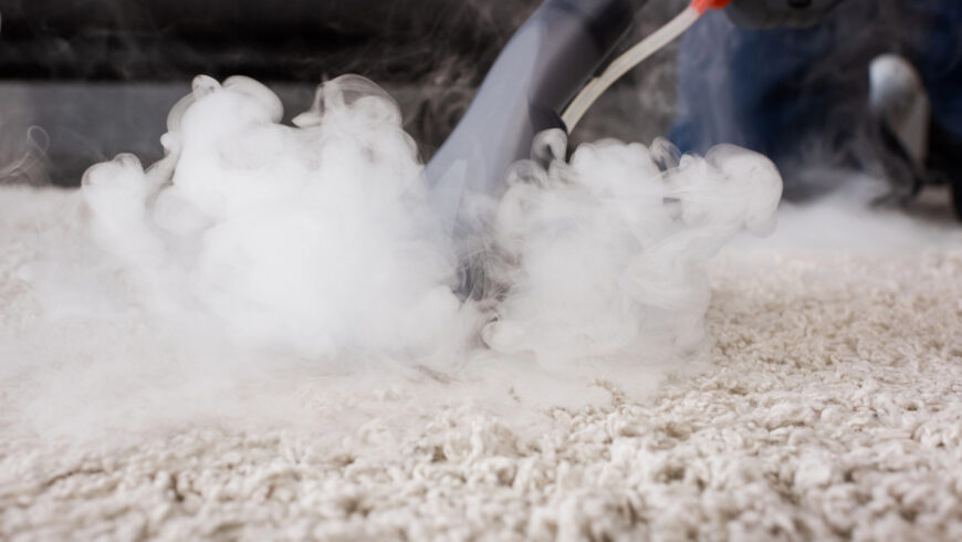 Pet-Friendly Carpet Cleaning in Calgary: Odor, Stain and Dander Removal